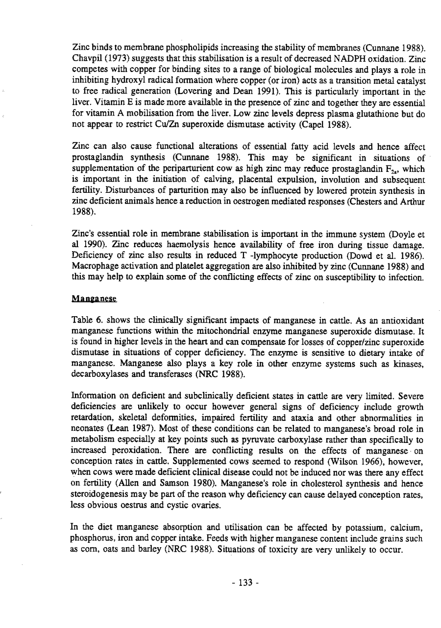 1993 Page 133